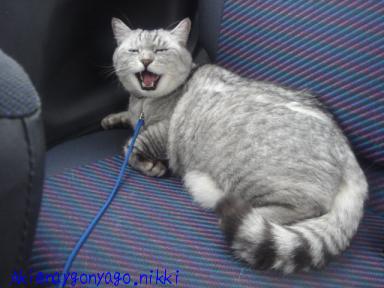 帰るったら！！