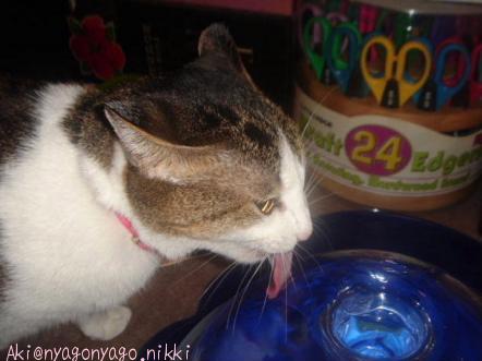 おぉーーーーーーーーー