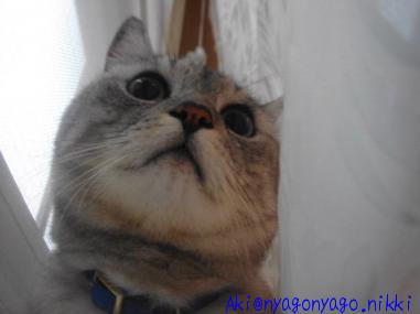 ここなら・・・