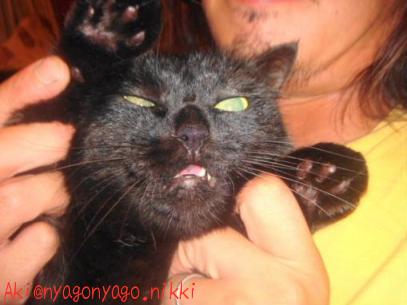 うるさいのよ！