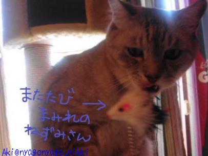 またたびねずみさん