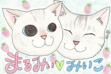 まるみぃ＆みいこ