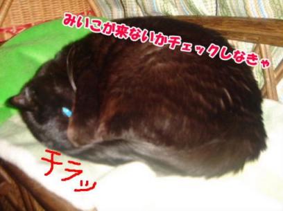 みいこチェック