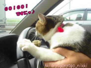 ＧＯＧＯですにゃ