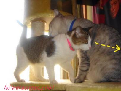 目は一点を・・・