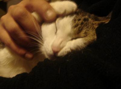 へんがおですよ～