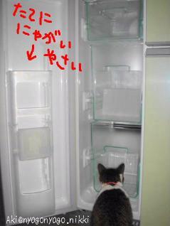 たてににゃがい