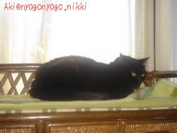 話し相手がいないわ！