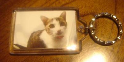 ぴよキーホルダー