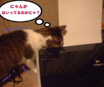 こわい、気になる、こわい、気になる