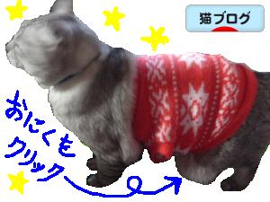 ランキング・みいこ２