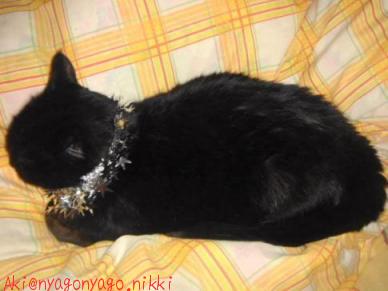 キラキラナナコ