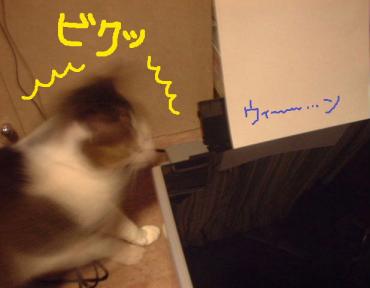 うわぁっっっっっ