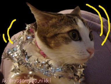 いやですにゃ！