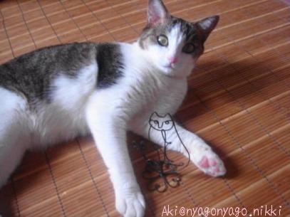 ぴよたんとスタンド