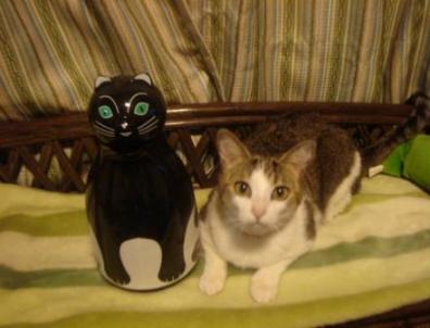 ぴよのほうが・・・