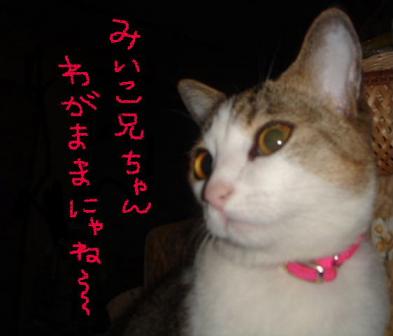 わがままだにゃ