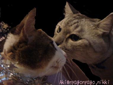 なにしてるの？