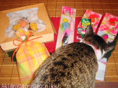 おもちゃだぁ！