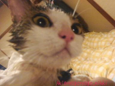 ふきふきしますよ～