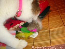 まだ遊ばないで～