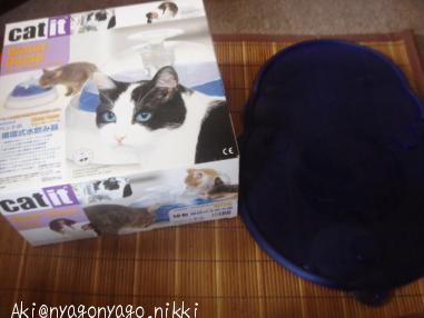 ウォータードーム