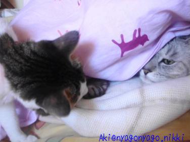 みいこ兄ちゃん！