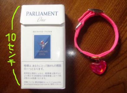 ぴよたんの首輪