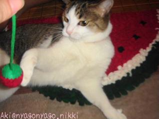 お鼻の横が（笑）