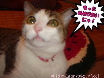 もっと遊びたいにゃ！