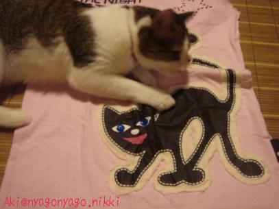 くんくんチェック