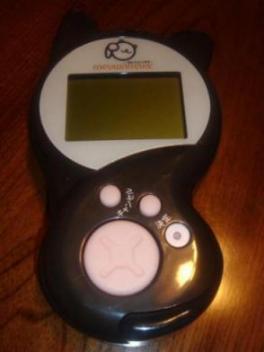 黒猫でピンクの肉球♪