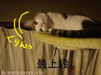 考え事は高い所で