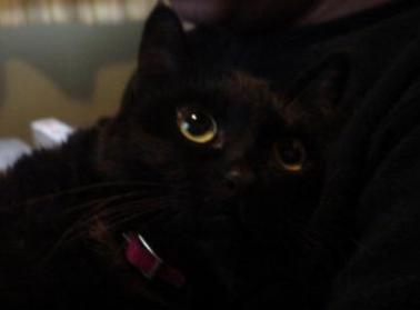 ナナコ姉ちゃん