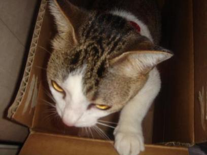 だ、だして～～