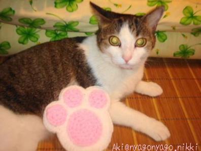 ぴよたんと一緒