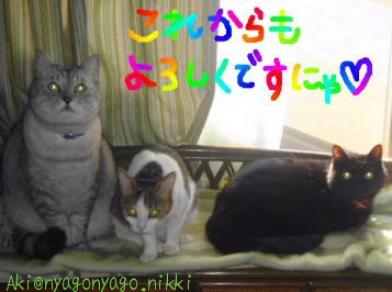 これからもよろしくですにゃ！
