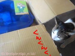 悟空くんのにおい？