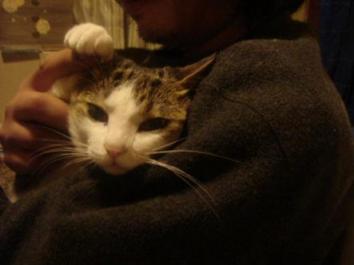 やっぱりぴよに♪