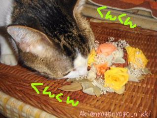 くんくんチェック