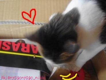 おもちゃ発見！