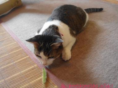 ねらってねらって～