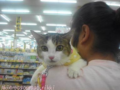 ホームセンター