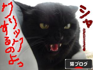 ランキング・ナナコ２（シャー顔）