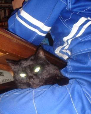 おひざでびかー☆