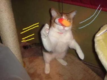 二本足立ちのまま～～