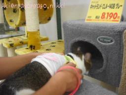 入っちゃだめ～