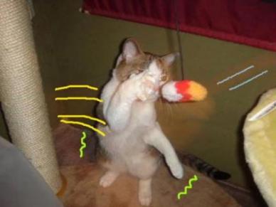 疲れてきたの？