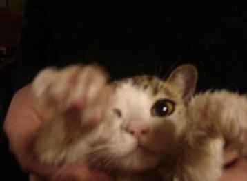 だずげで～～～