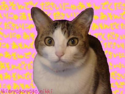 あそんでの呪文